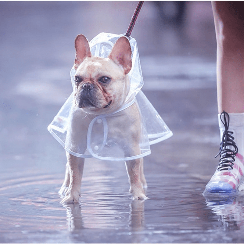 Transparent Pet Raincoat Outdoor Pet Supplies Puppy Hooded Raincoat