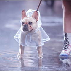Transparent Pet Raincoat Outdoor Pet Supplies Puppy Hooded Raincoat