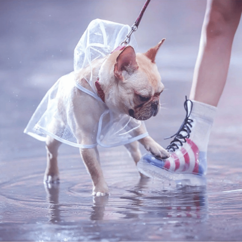 Transparent Pet Raincoat Outdoor Pet Supplies Puppy Hooded Raincoat