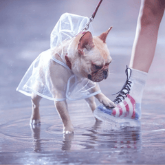 Transparent Pet Raincoat Outdoor Pet Supplies Puppy Hooded Raincoat