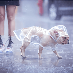 Transparent Pet Raincoat Outdoor Pet Supplies Puppy Hooded Raincoat