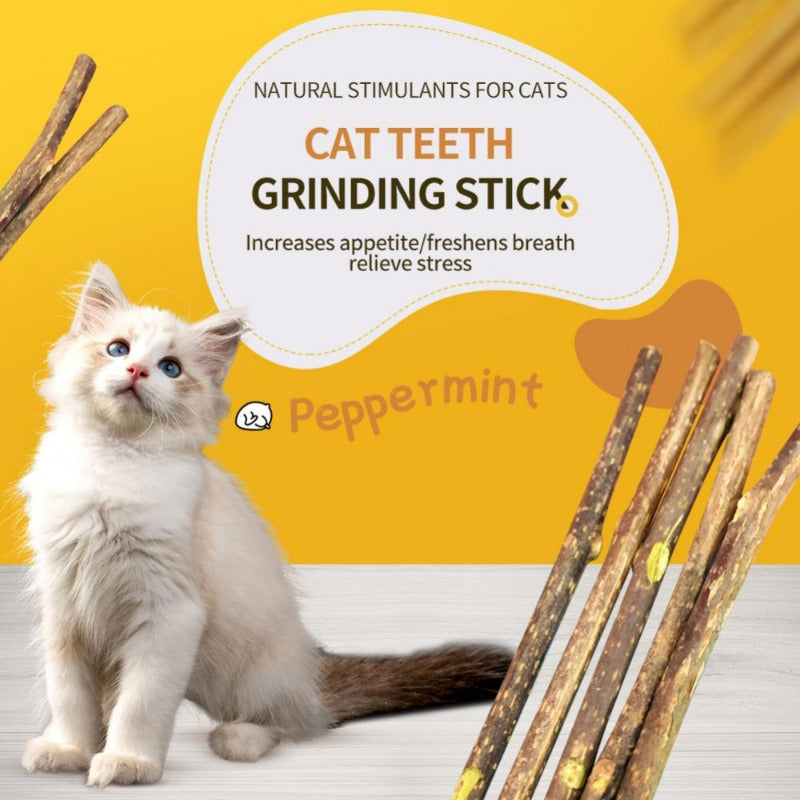 Cat Molar Stick Cleaning Teeth Natural Catnip Pet Cat Toothpaste Stick
