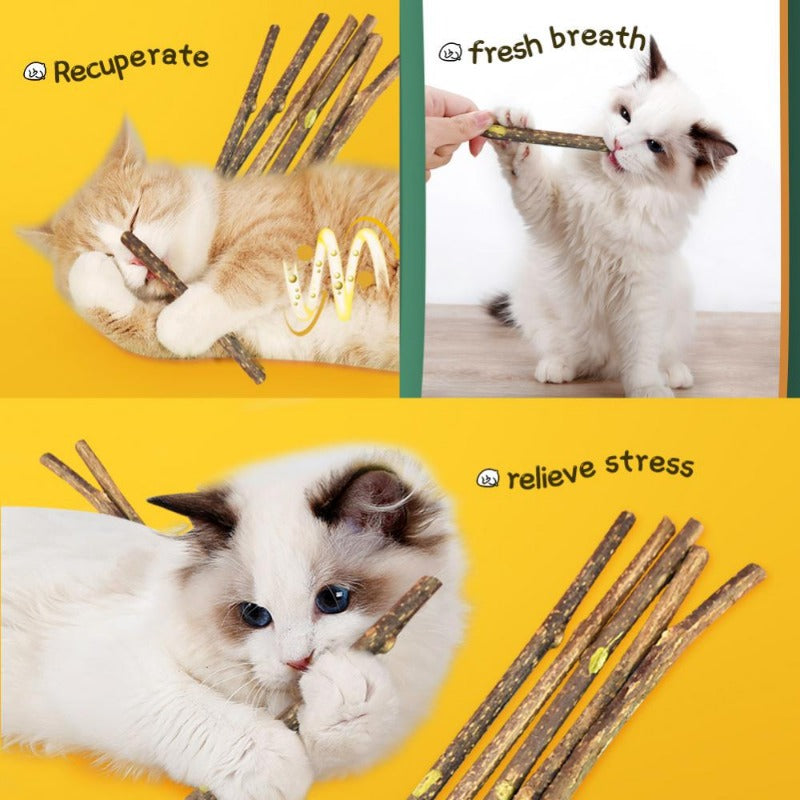 Cat Molar Stick Cleaning Teeth Natural Catnip Pet Cat Toothpaste Stick