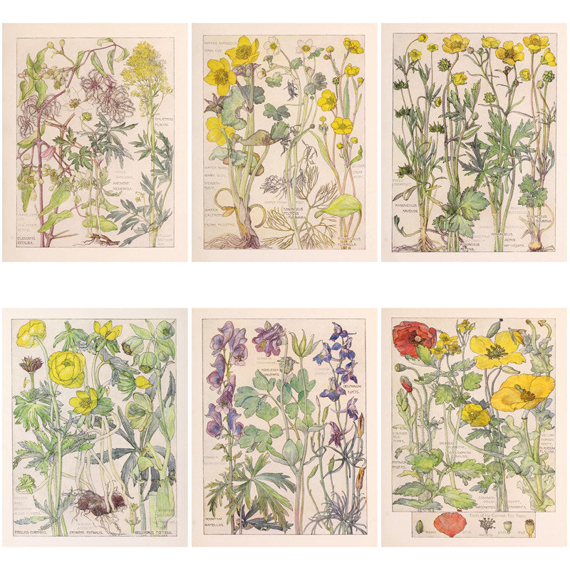 20pcs Large Size Wildflowers Paper Retro Insect Journal Background DIY Gift