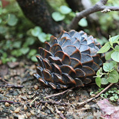 Stone Shaped Money Box Safe Insurance Box