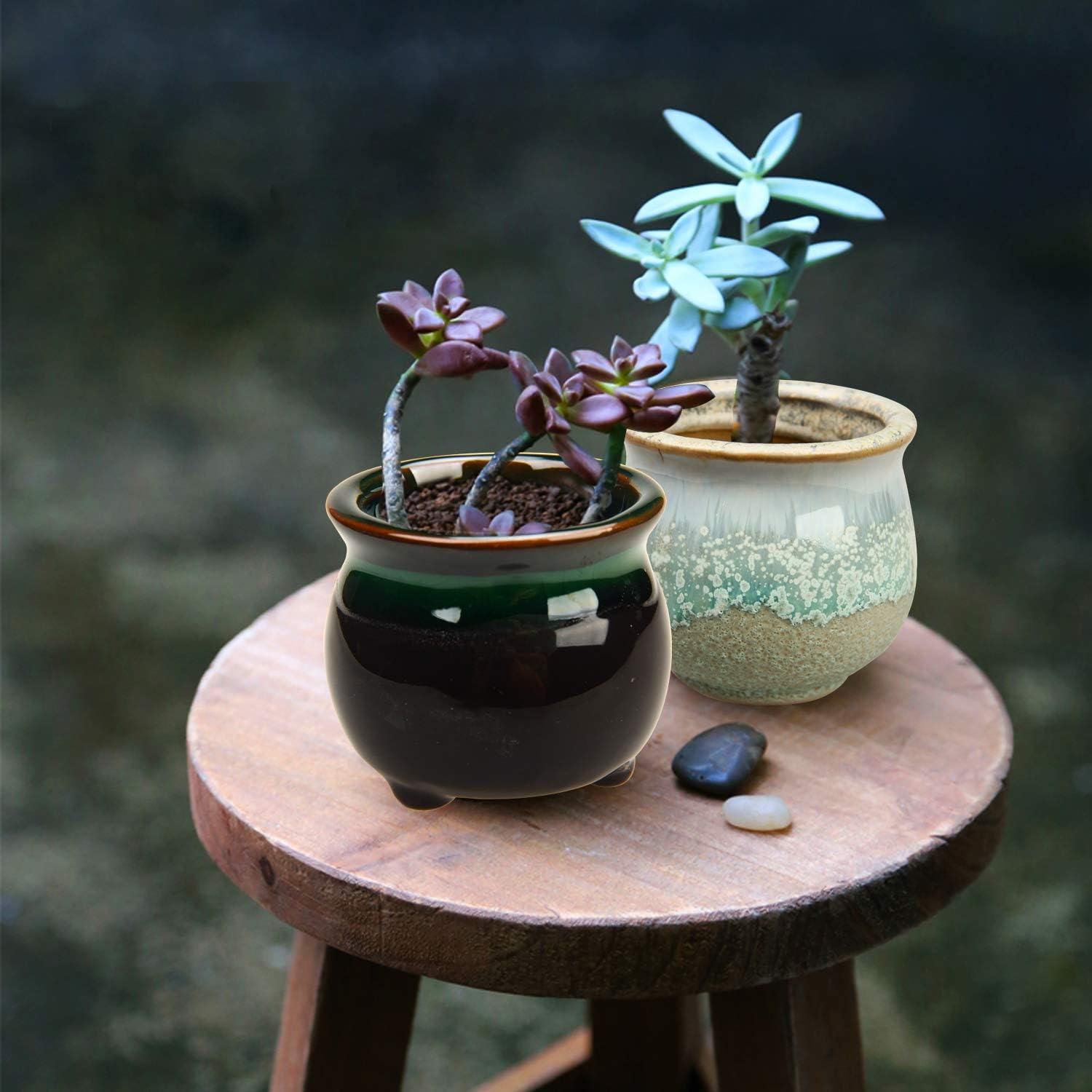 6pcs 6 35 Cm Succulent Pot With Drainage Ceramic Planter Set