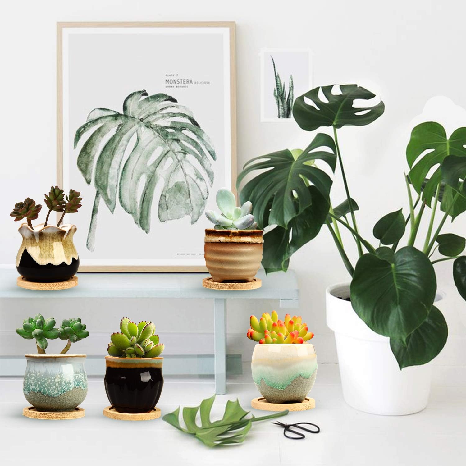 6pcs 6 35 Cm Succulent Pot With Drainage Ceramic Planter Set