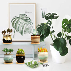 6pcs 6 35 Cm Succulent Pot With Drainage Ceramic Planter Set
