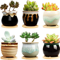 6pcs 6 35 Cm Succulent Pot With Drainage Ceramic Planter Set