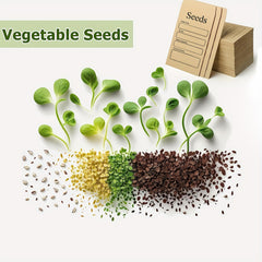 20 Seed Envelopes Self Adhesive for Saving Flower Vegetable Seeds