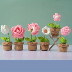DIY Crochet Material Package Weaving Potted Plants Hanging Ornaments