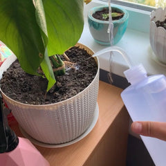 Plants Sprinkler Squeeze Spray Bottles for Gardening