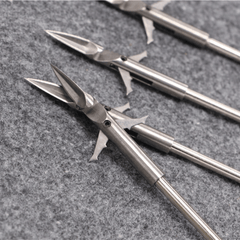 Fishing Arrow Model for Catching Fish Outdoors
