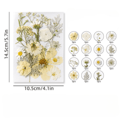 15pcs DIY Dried Flower Kit for Resin Jewelry Soap Candle Home Decor