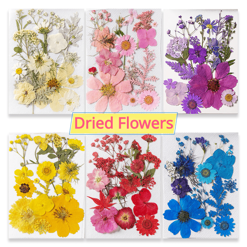 15pcs DIY Dried Flower Kit for Resin Jewelry Soap Candle Home Decor