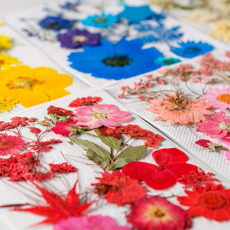 15pcs DIY Dried Flower Kit for Resin Jewelry Soap Candle Home Decor