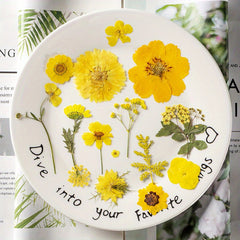 15pcs DIY Dried Flower Kit for Resin Jewelry Soap Candle Home Decor