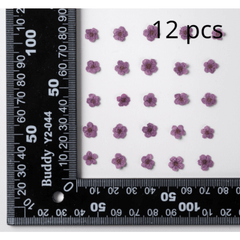 15pcs DIY Dried Flower Kit for Resin Jewelry Soap Candle Home Decor
