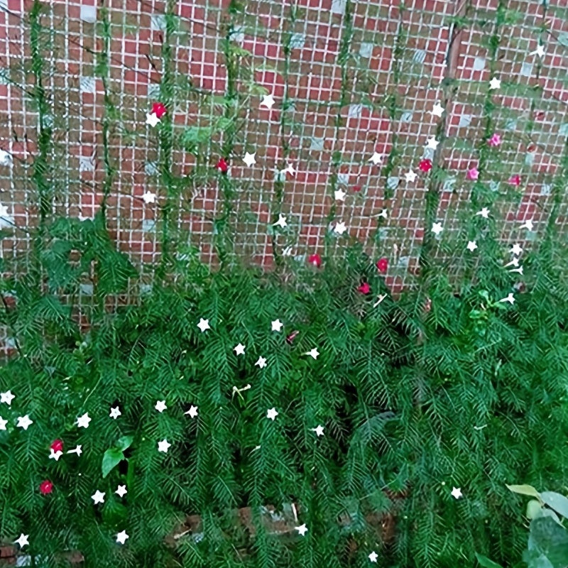 Garden Plant Trellis Netting for Climbing Plants 0.9x1.8m