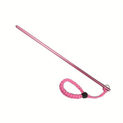 Colorful Diving Stick Pointer Accessories