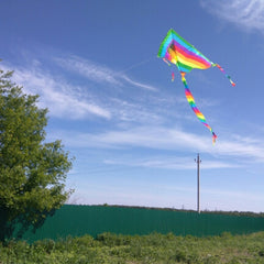 Triangle Long Tail Rainbow Kite Outdoor Kite Adult Flying Toy Kite