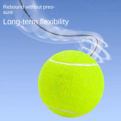 Professional Tennis Training Rebound Ball