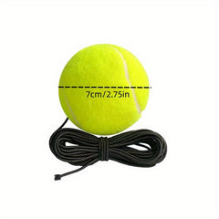 Professional Tennis Training Rebound Ball