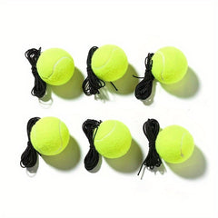 Professional Tennis Training Rebound Ball