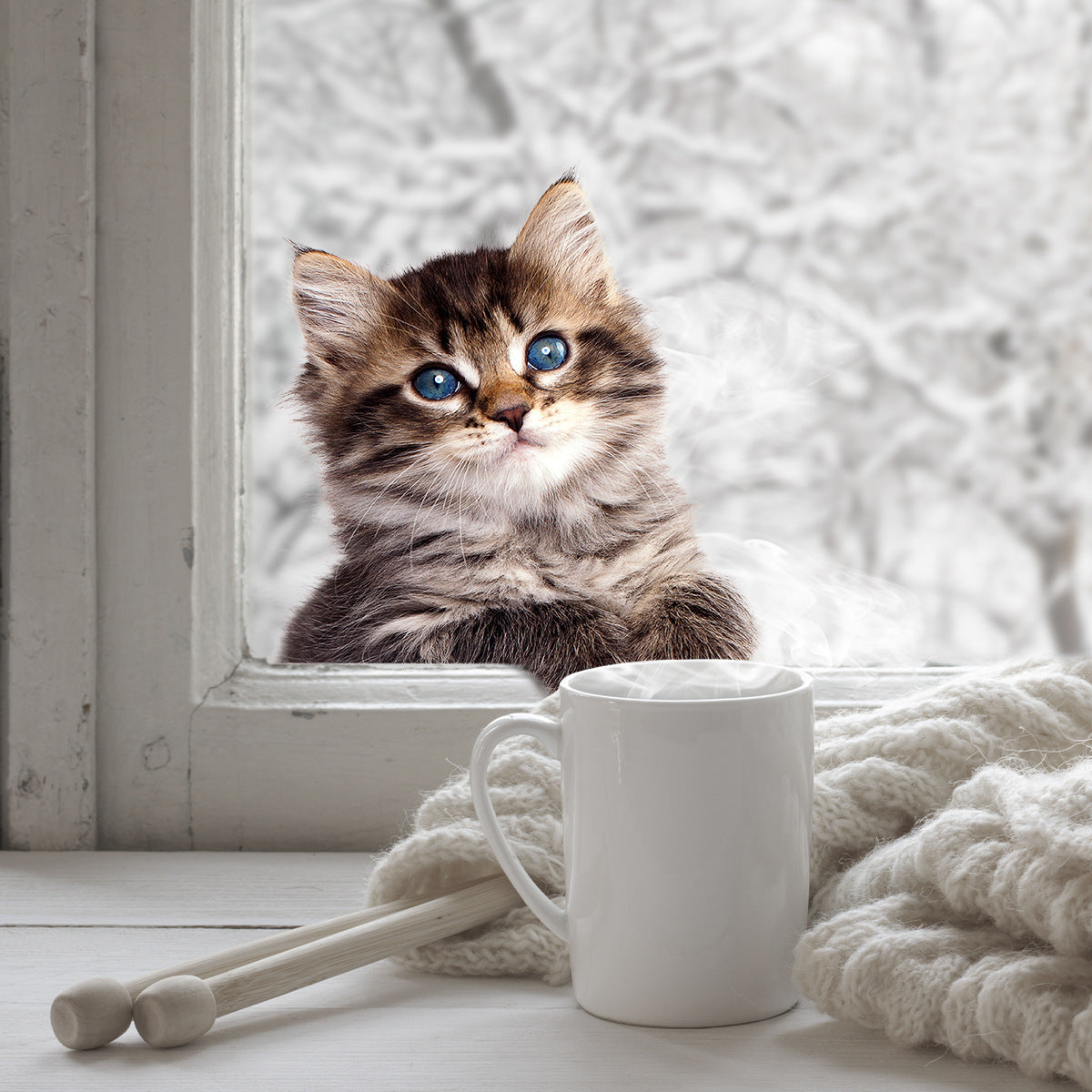 3D Animal Window Decal Sticker Double sided Static Cling Glass Sticker