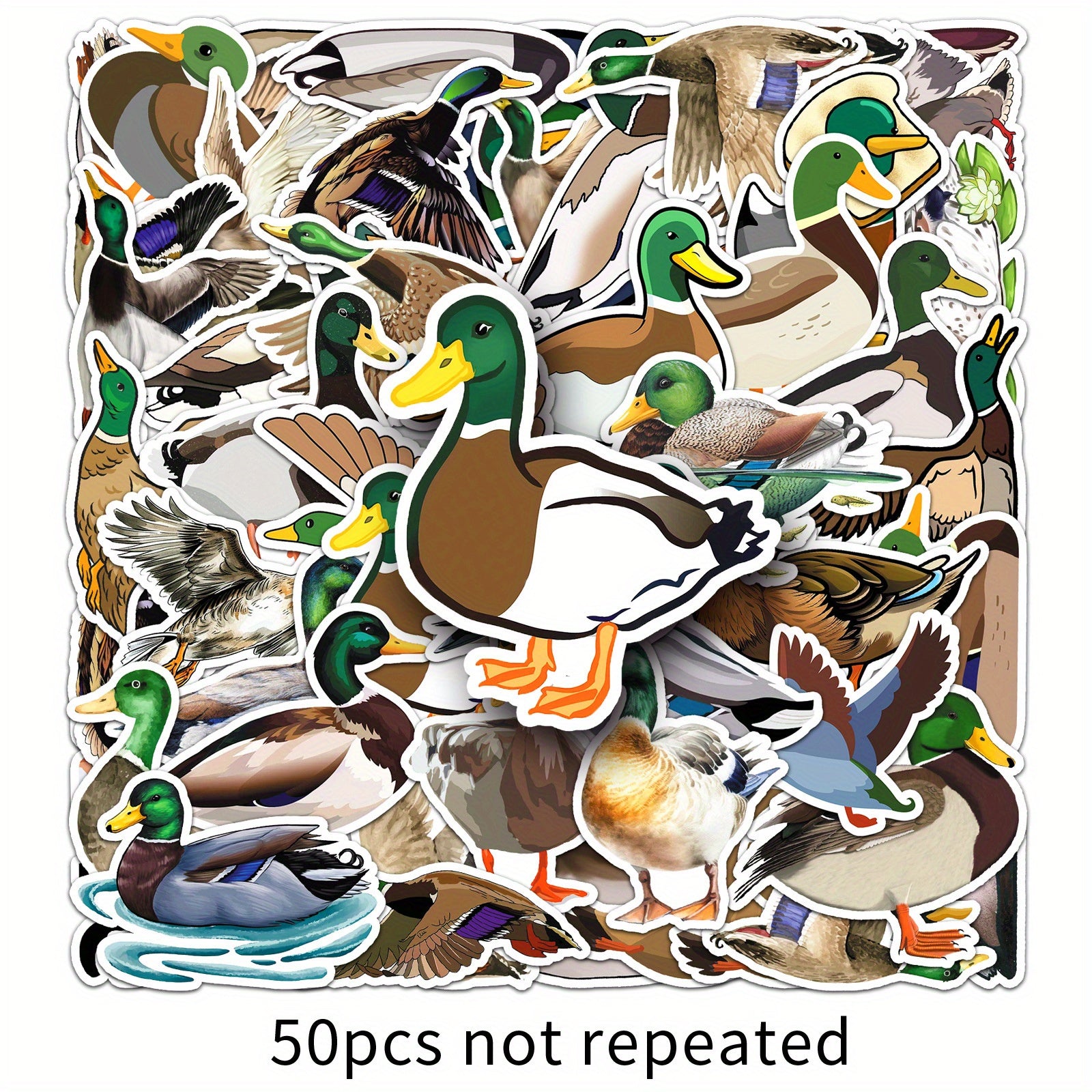 50 Mallard Duck Cartoon Stickers for Decorating