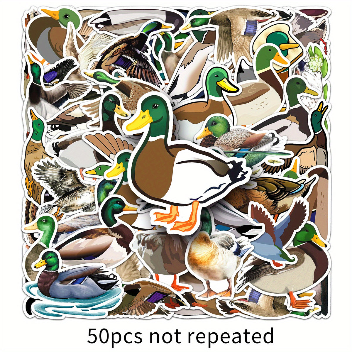 50 Mallard Duck Cartoon Stickers for Decorating