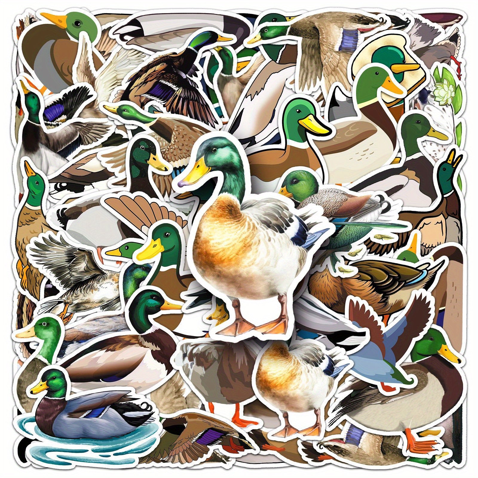 50 Mallard Duck Cartoon Stickers for Decorating