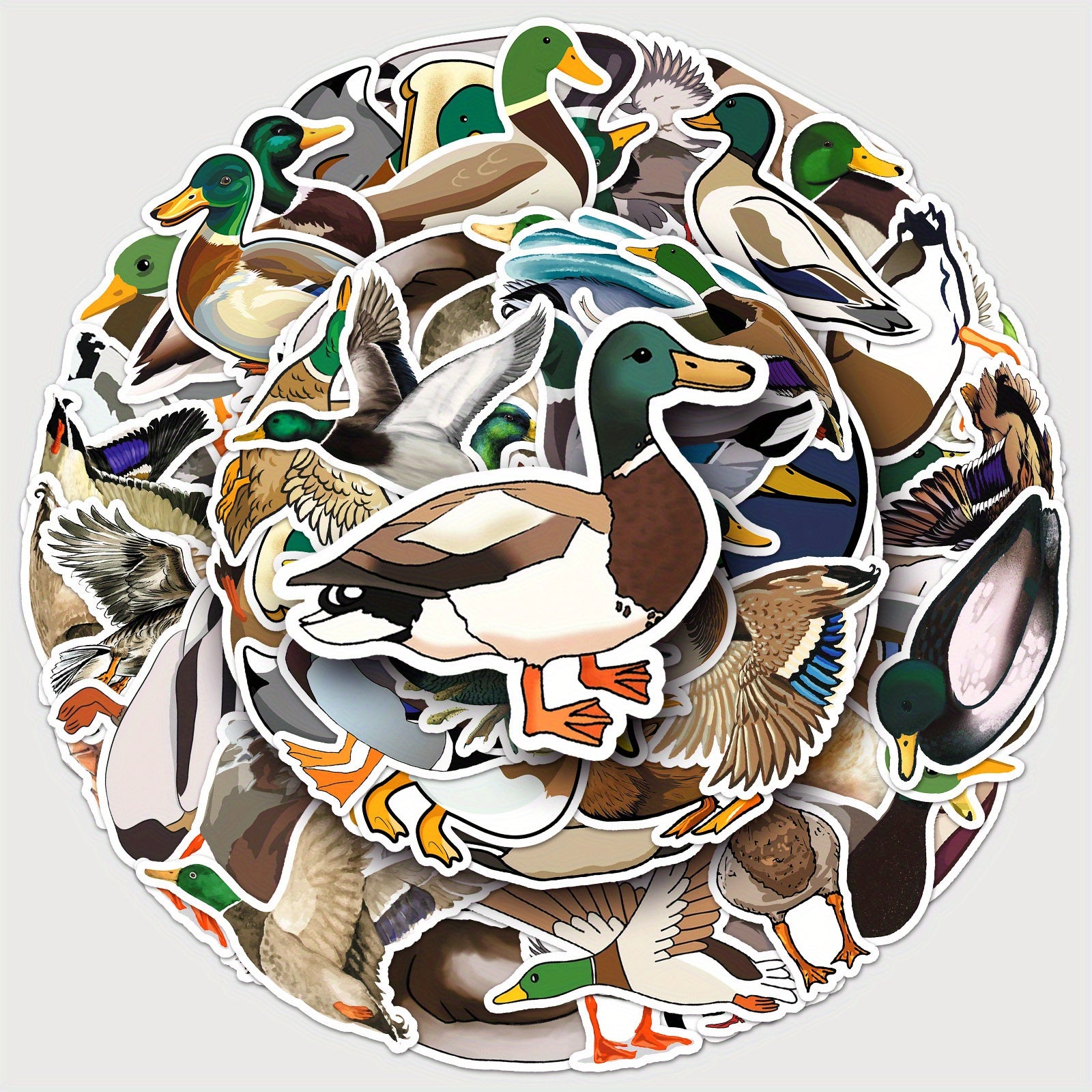 50 Mallard Duck Cartoon Stickers for Decorating