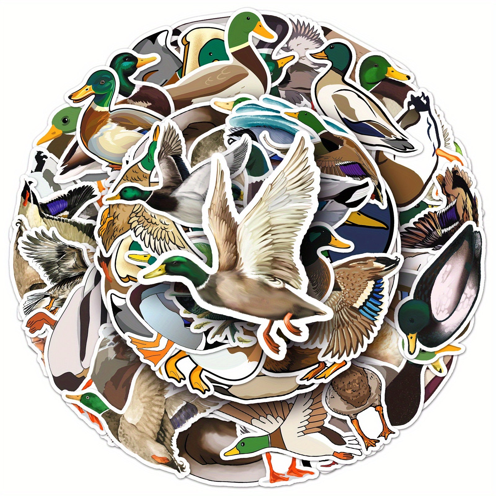 50 Mallard Duck Cartoon Stickers for Decorating