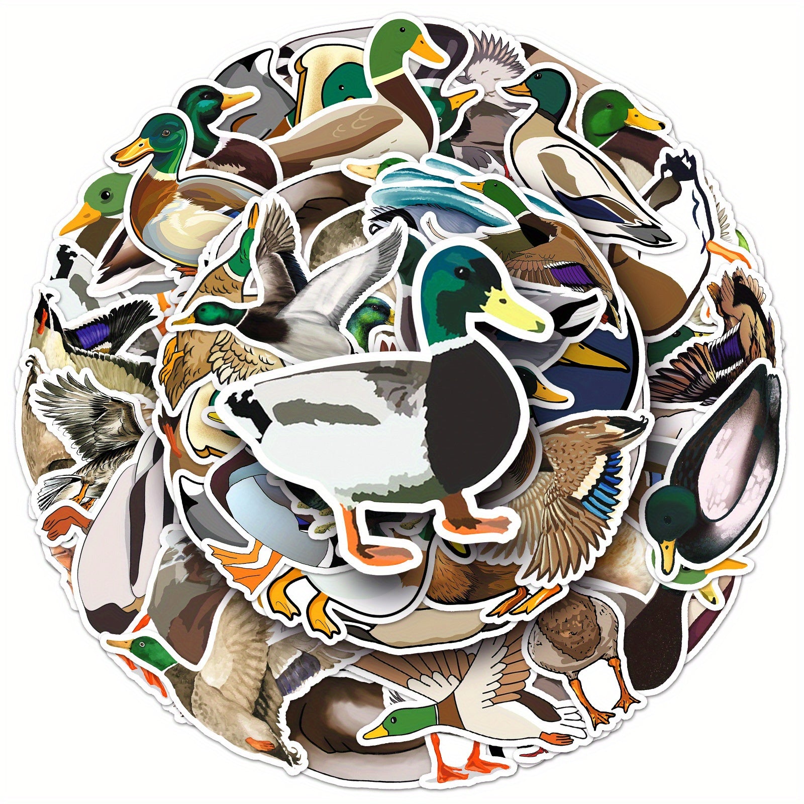 50 Mallard Duck Cartoon Stickers for Decorating