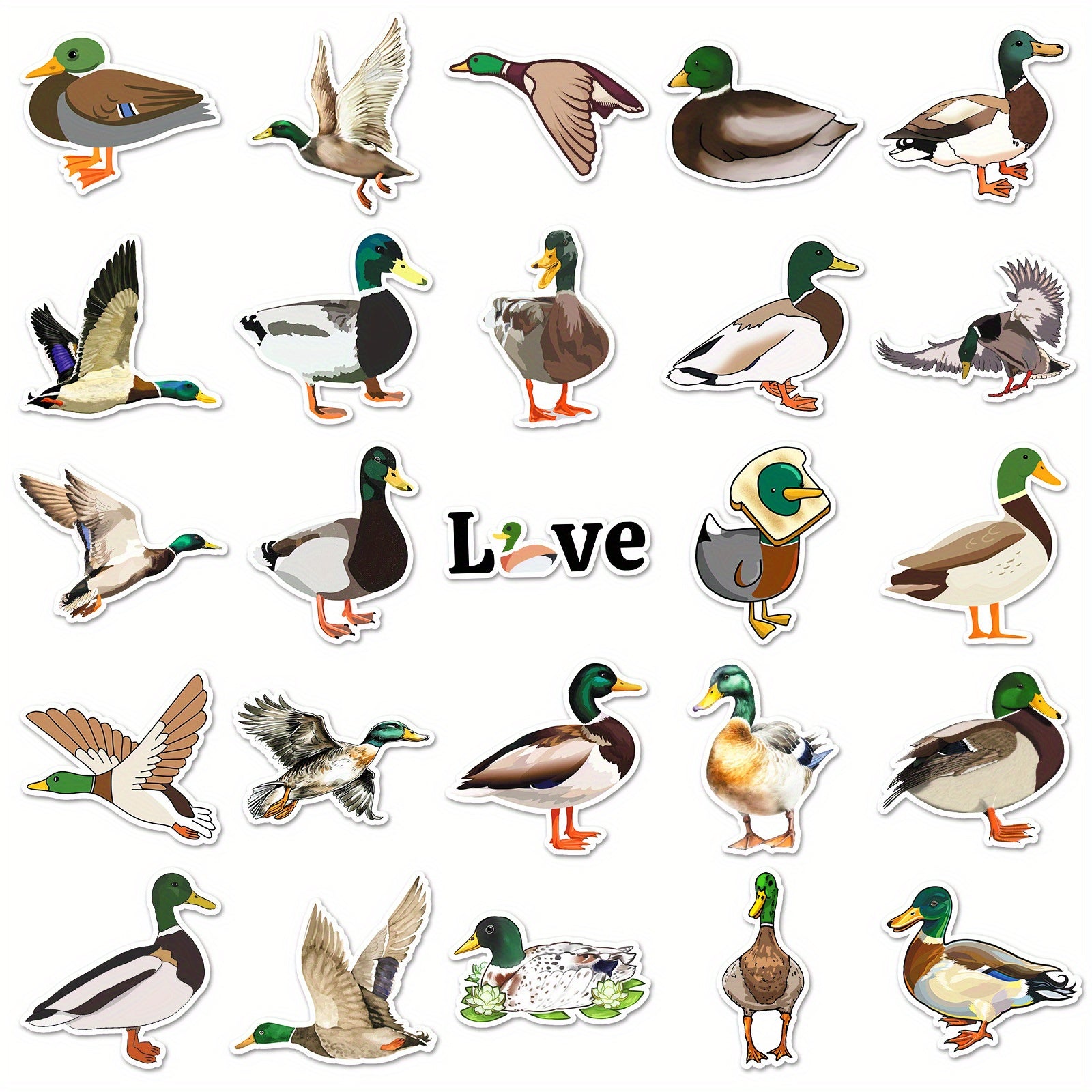50 Mallard Duck Cartoon Stickers for Decorating