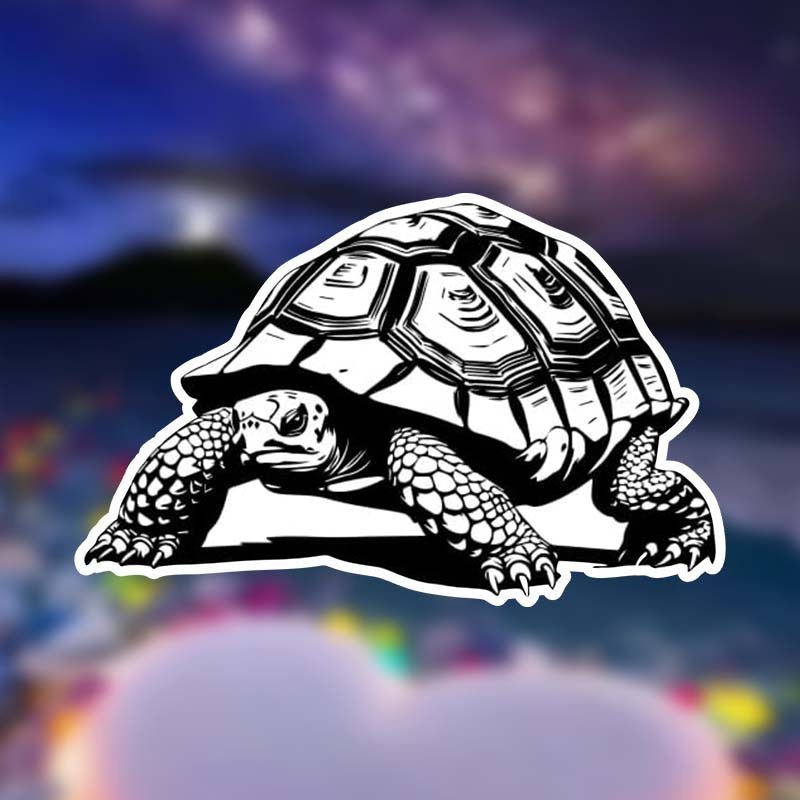 Turtle Pattern Vinyl Sticker Matte Finish Self Adhesive