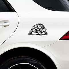 Turtle Pattern Vinyl Sticker Matte Finish Self Adhesive