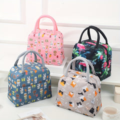 Cartoon Pattern Lunch Storage Bag Zipper Portable Insulation Satchel