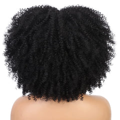 35 56 Cm Kinky Curly Wigs For Women Afro Bomb Curly Wigs With Bangs
