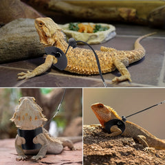 Adjustable Leather Lizard Reptiles Harness Leash Set