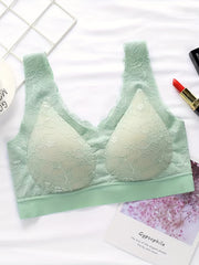 Lace Wireless Bra w/ Scallop Trim - Women's Lingerie