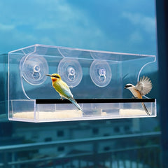 Clear Glass Bird Feeder for Window - Attract Birds to Your Home