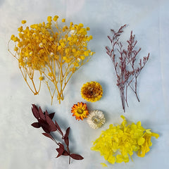 DIY Craft Mixed Dried Flowers for Arrangements Framing Resin Fillers