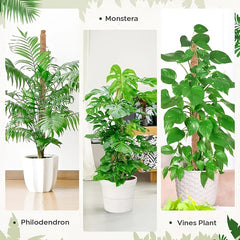 Deformable Plant Climbing Frame - Bendable Plant Stick Holder