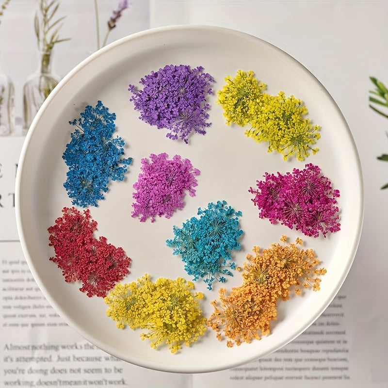 20pcs Natural Snowflake Dry Flower Embossing DIY Decorations