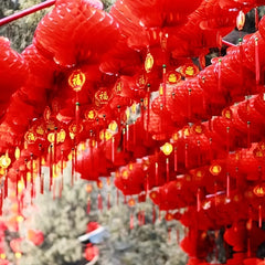 Hot Spring Lantern Red Lantern Decoration Year Paper Lantern Dress Up