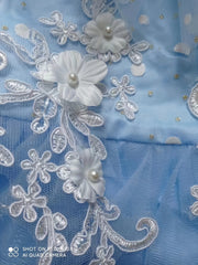Girls Flowers Embroidery High Low Party Dress