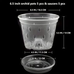 5-Pack 16.51 cm Clear Plastic Orchid Pot with Saucers