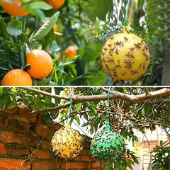 4pcs Sticky Fly Balls - Catch Mosquitoes & Pests - Eco Friendly